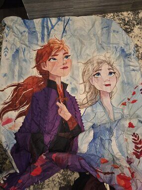 Disney Frozen 2 Anna & Elsa Twin Comforter | Size Twin | Blue Multi